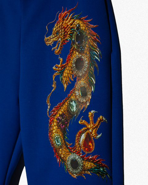 Blue Dragon Pants